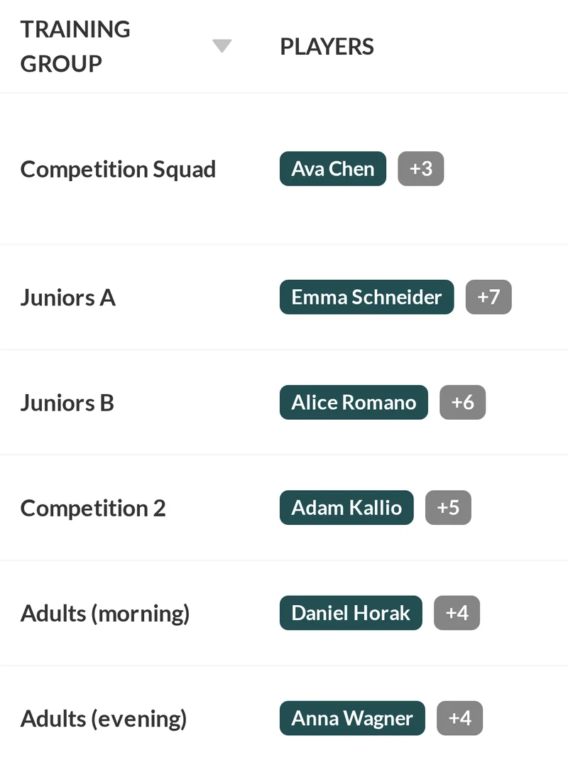 The training groups table in Striveon, six groups with their players: Competition Squad, Juniors A, Juniors B, Competition 2, Adults morning, Adults evening.